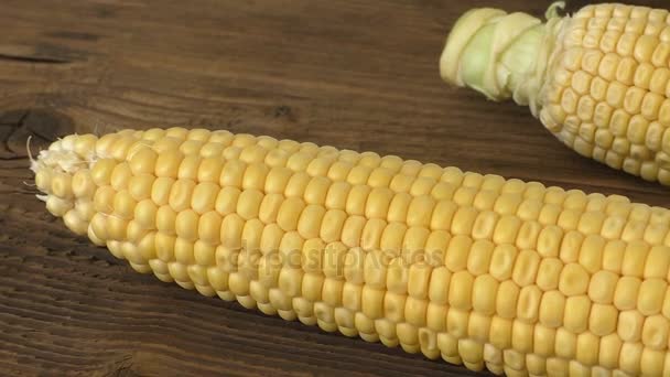 Two fresh corn on cobs on rustic wooden table — Stock Video