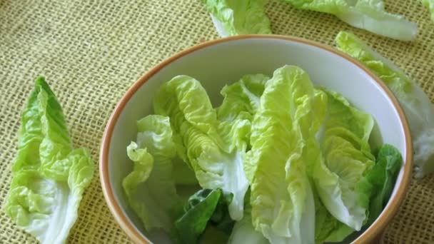 Frischer grüner Salat in einer Salatschüssel isoliert auf gelbem Hintergrund — Stockvideo