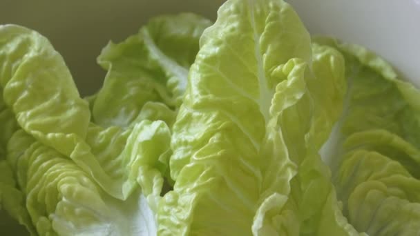 Fresh green lettuce in a salad bowl isolated on yellow background — Stock Video