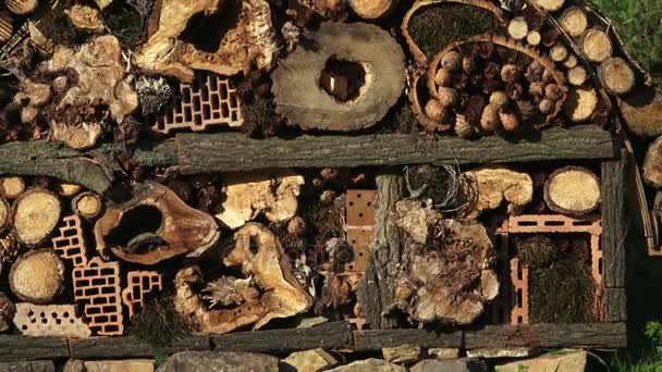 Bee and insect house made from natural materiels. — Stock Video