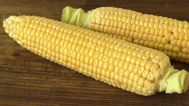 Cobs fresh corn on old wooden surface. Corn on a wood board — Stock Video