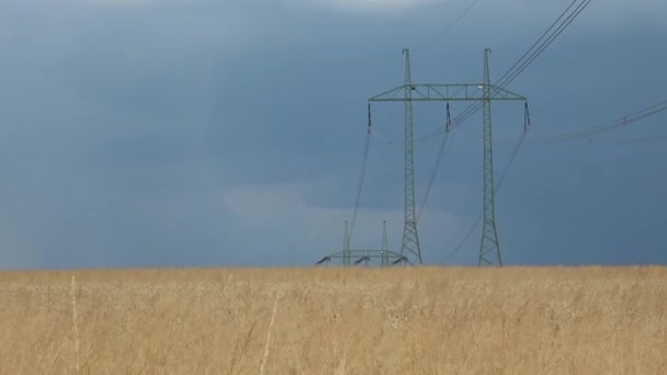 Linie wysokiego napięcia i mocy pylonów w płaskie i zielonego krajobrazu rolniczego — Wideo stockowe