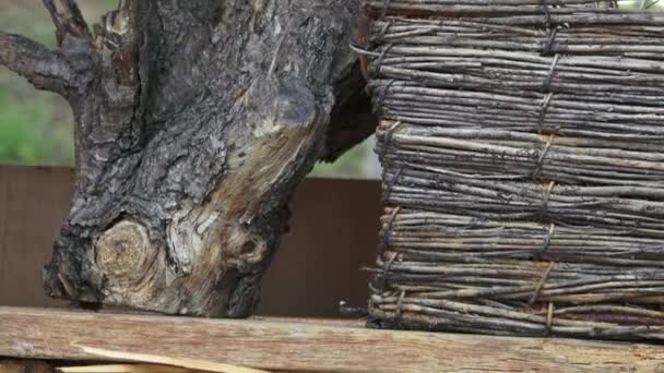 蜜蜂和由天然材料制成的昆虫屋. — 图库视频影像