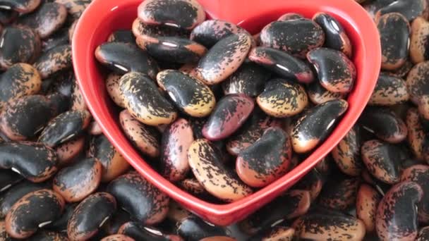 大型彩色豆。健康的食物. — 图库视频影像