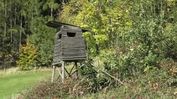 Wooden lookout tower for hunting in the woods — Stock Video