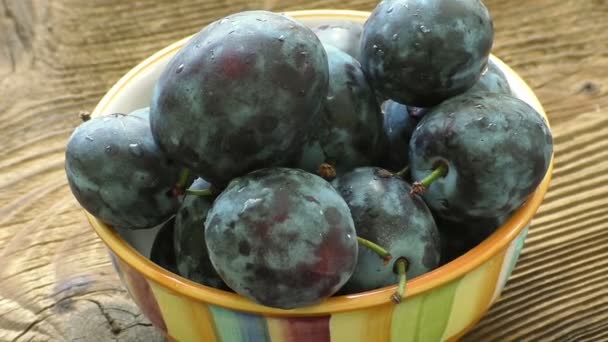 Ciruelas orgánicas frescas. Cosecha de otoño — Vídeos de Stock