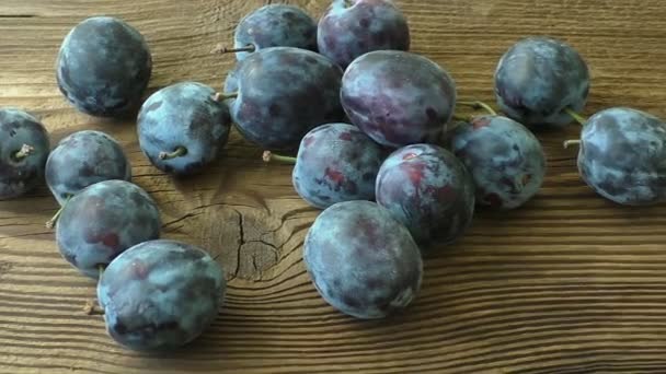 Prunes biologiques fraîches. Récolte d'automne — Video