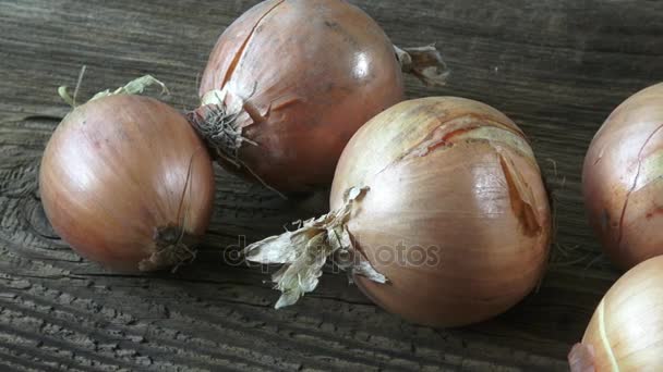 Grupo de cebollas sobre fondo de madera. Hongos en las cebollas. Cebollas mohosas . — Vídeo de stock