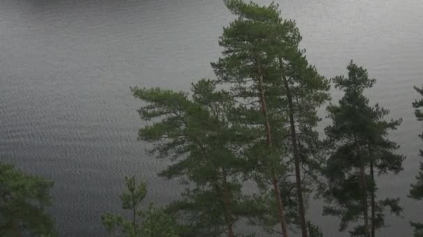 Vista del río durante la temporada de otoño. República Checa — Vídeo de stock