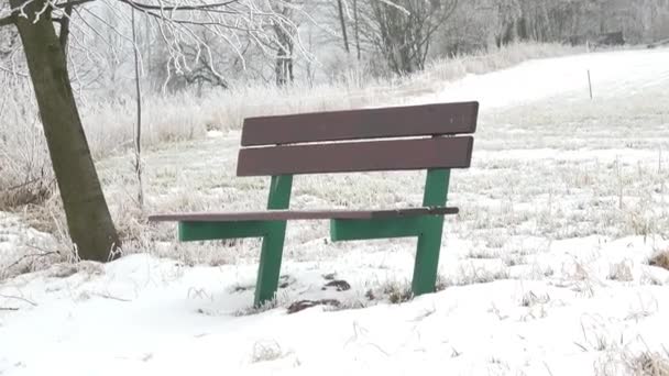 冬の風景の雪のベンチ 霧の冬のシーンと緑のベンチ — ストック動画