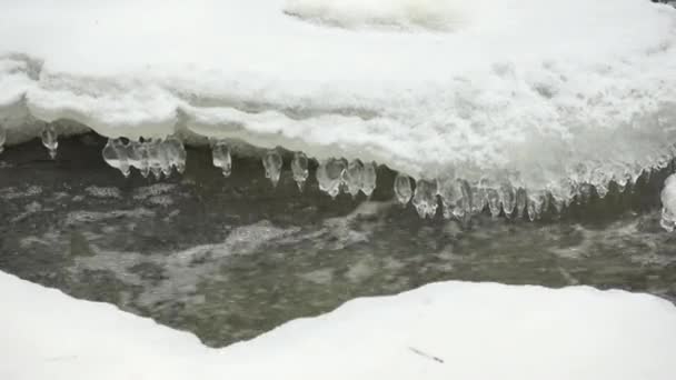 寒い雪に覆われた冬の凍らない川 — ストック動画
