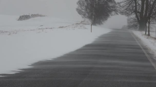 暴风雪暴风雪的冬天路上下雪的风景 暴风雪在开阔道路上的景象 — 图库视频影像