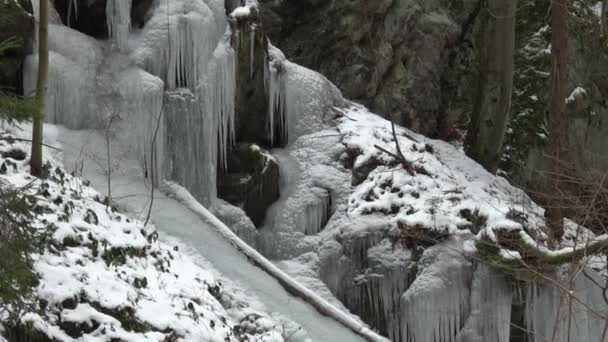 Kis Vízesés Ice Jégcsapok Pompás Téli Táj — Stock videók