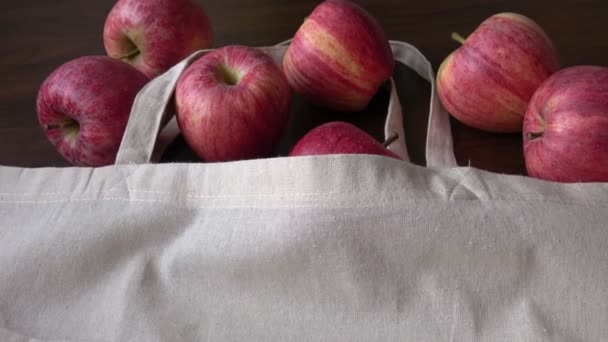 Manzanas Bolsa Algodón Embalaje Ecológico Cero Residuos Hay Concepto Plástico — Vídeo de stock