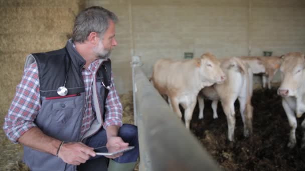 Attraktiva veterinär med hjälp av en digital tablett i en lada — Stockvideo