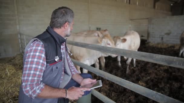 Vétérinaire attrayant en utilisant une tablette numérique dans une grange — Video
