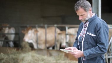 Dijital tablet kullanarak danalarladolu ile üst düzey çiftçi