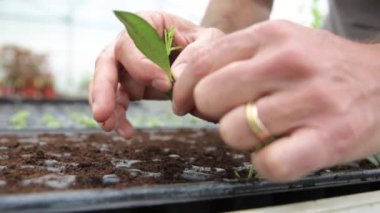 Yeşil bir evde çalışma çekici komuta sizde