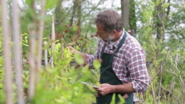 Çekici komuta sizde bir bahçede çalışan