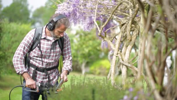 Attractive senior man working in a garden — Stock Video