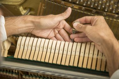 Teknisyen bir dik piyano kolu ve araçlarını kullanarak ayarlama