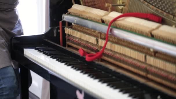 Piano Technician Repairing Piano — Stock Video