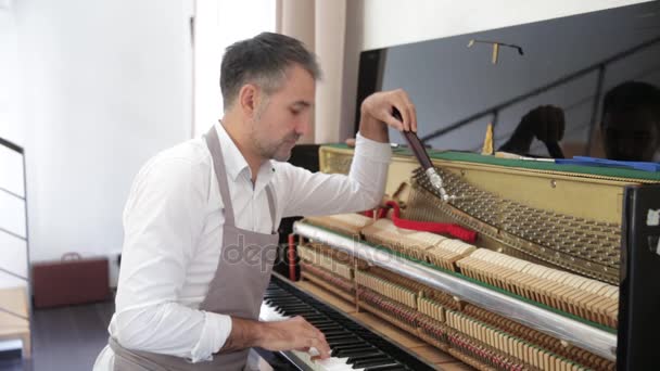 钢琴技师修钢琴 — 图库视频影像