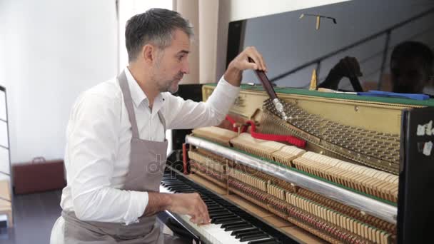 Técnico Piano Reparando Piano — Vídeo de Stock