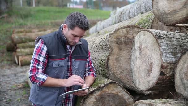 Attraktive Bucheron Bei Ihrer Ausbeutung Mit Einem Digitalen Tablet — Stockvideo