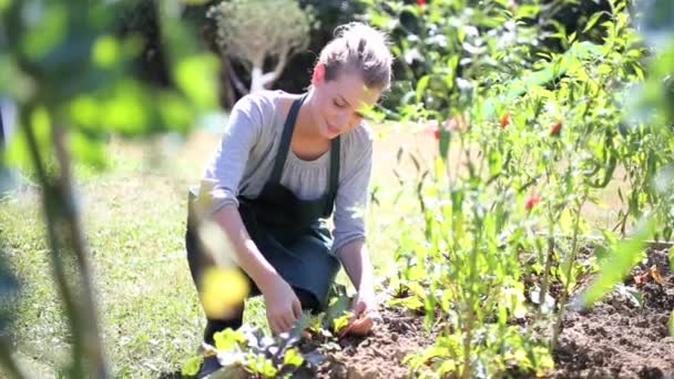 家庭菜園での女性 — ストック動画