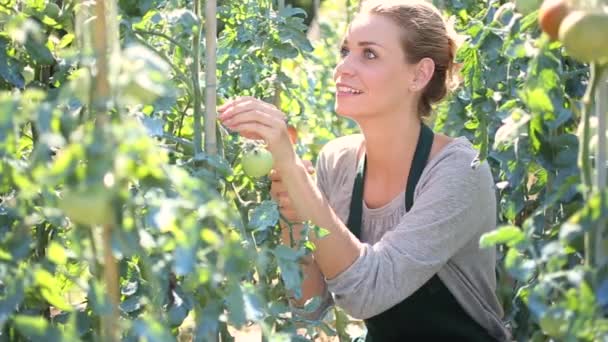 Mulher Jardim Cozinha — Vídeo de Stock