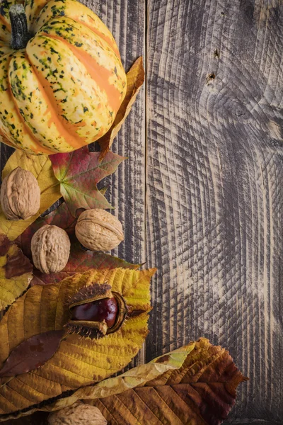 Herbst-Erntedank-Konzept Hintergrund — Stockfoto