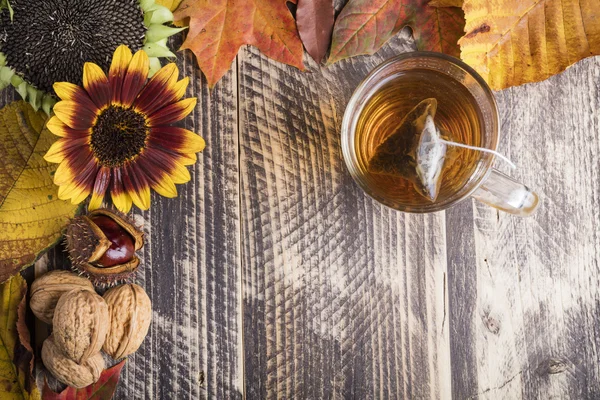 Herbst heißen frischen Tee schlechtes Wetter zu Hause gemütliche Cocooning-Konzept — Stockfoto