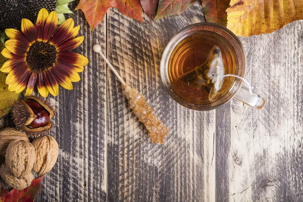 Herbst heißen frischen Tee schlechtes Wetter zu Hause gemütliche Cocooning-Konzept — Stockfoto