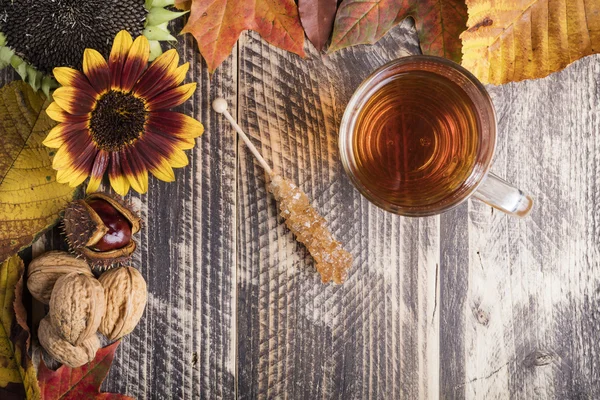 Herbst heißen frischen Tee schlechtes Wetter zu Hause gemütliche Cocooning-Konzept — Stockfoto