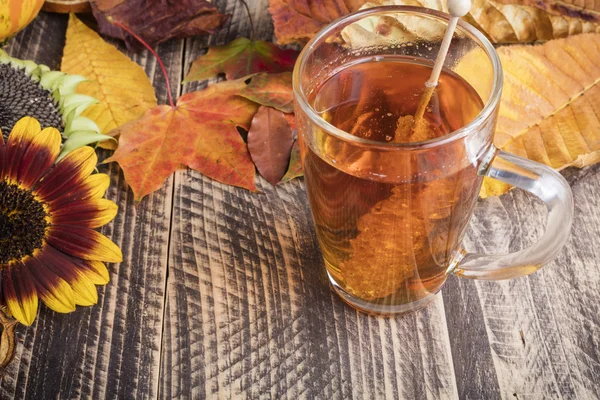 Herbst heißen frischen Tee schlechtes Wetter zu Hause gemütliche Cocooning-Konzept — Stockfoto