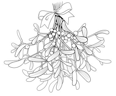 izole Noel ökseotu hattı