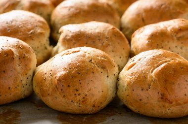 Haşhaş tohumu ile ev yapımı ekmek buns.