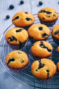 Ev yapımı blueberry muffins ahşap arka plan üzerinde.