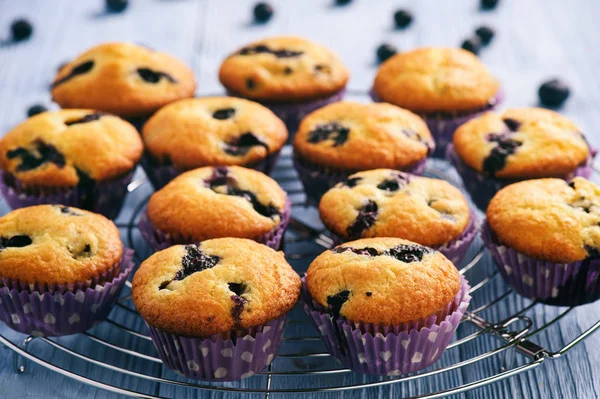 Muffins caseiros de mirtilo no fundo de madeira . — Fotografia de Stock