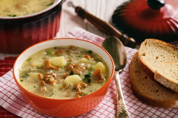 Вегетарианская кухня - суп с картошкой и грибами . — стоковое фото
