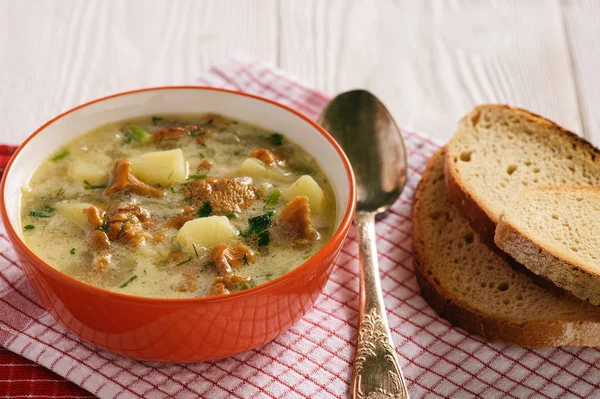 Vegetáriánus konyha - leves burgonya és rókagombával gomba. — Stock Fotó