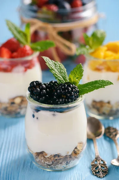 Naturjoghurt Mit Müsli Mango Und Beeren — Stockfoto