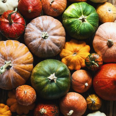 renkli kabaklar arka plan