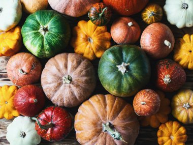 renkli kabaklar arka plan