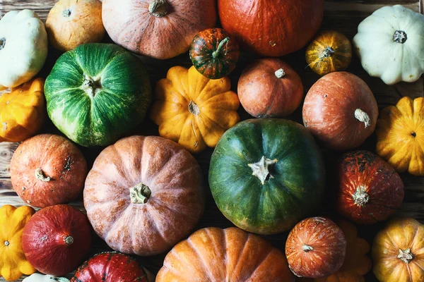 Kleurrijke pompoenen achtergrond — Stockfoto