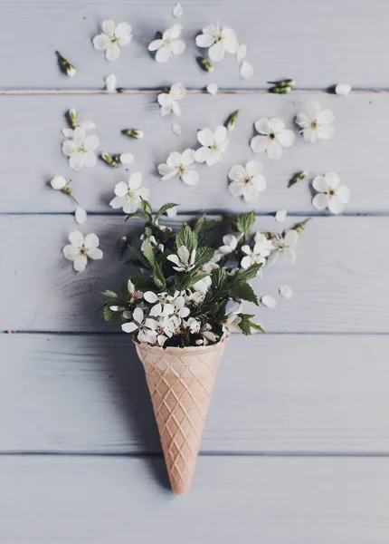 Cono de azúcar con pétalos de flores — Foto de Stock