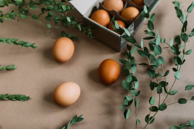 Tavuk yumurtası zanaat kutusunda arka plan yeşil dalları ile kağıt.