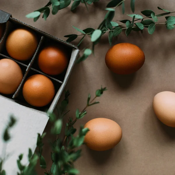 Chicken Eggs Box Craft Paper Background Green Branches — Stock Photo, Image
