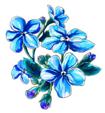 kiraz çiçekleri çiçek